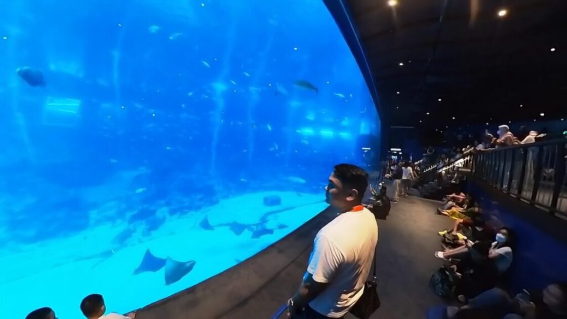 S.E.A. Aquarium Singapore